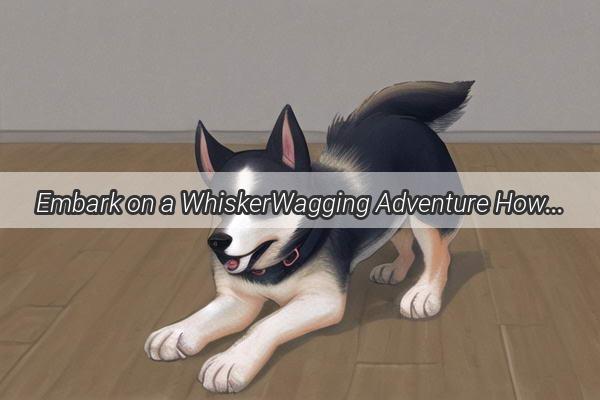 Embark on a WhiskerWagging Adventure How to Play Paws and Claws Doggy Exploration